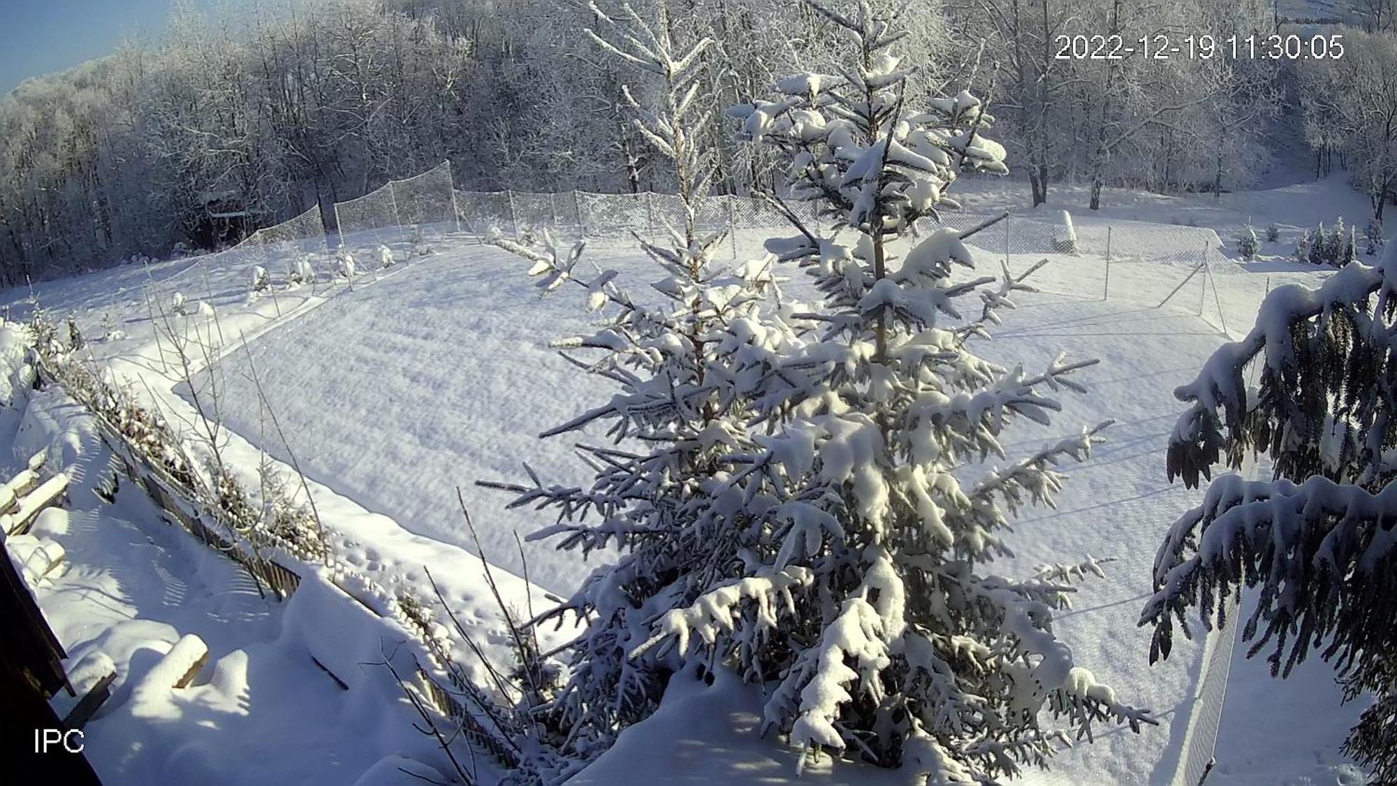 Noclegi Nad Czarna Orawa Podwilk Exterior foto